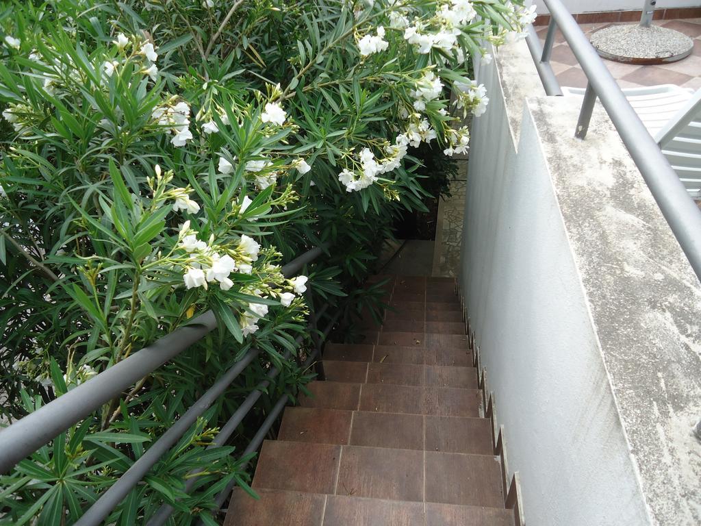 Apartments Ant Budva Rom bilde
